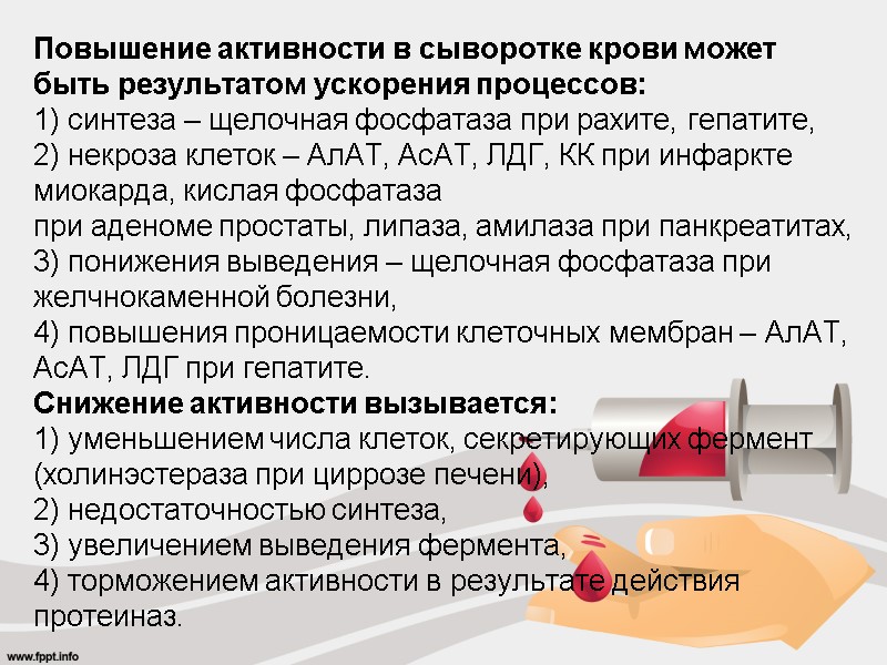 Повышение активности в сыворотке крови может быть результатом ускорения процессов: 1) синтеза – щелочная